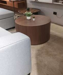 MESA DE CENTRO MARRON